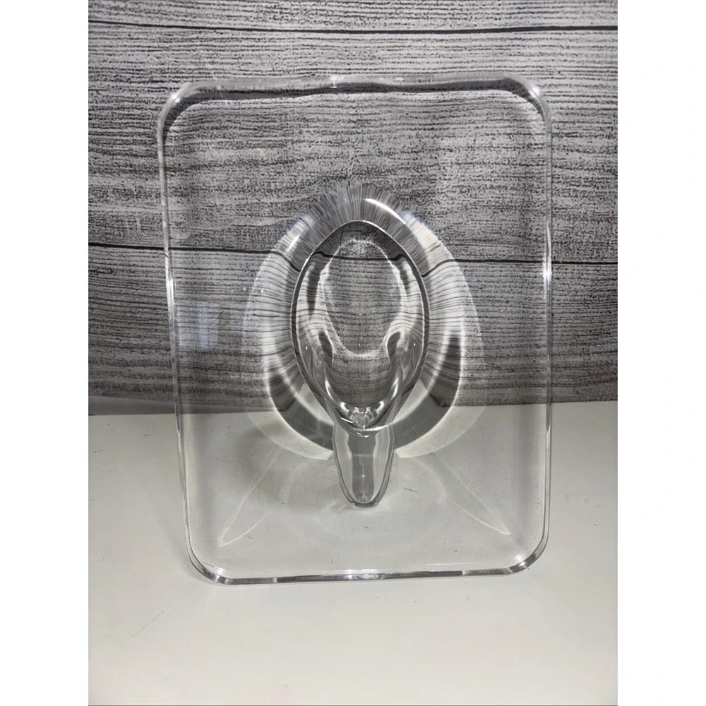 8" Clear Acrylic‎ Frame Flower Base 8x6 Decorative Picture Frame Base Aesthetic - Picture 2 of 5